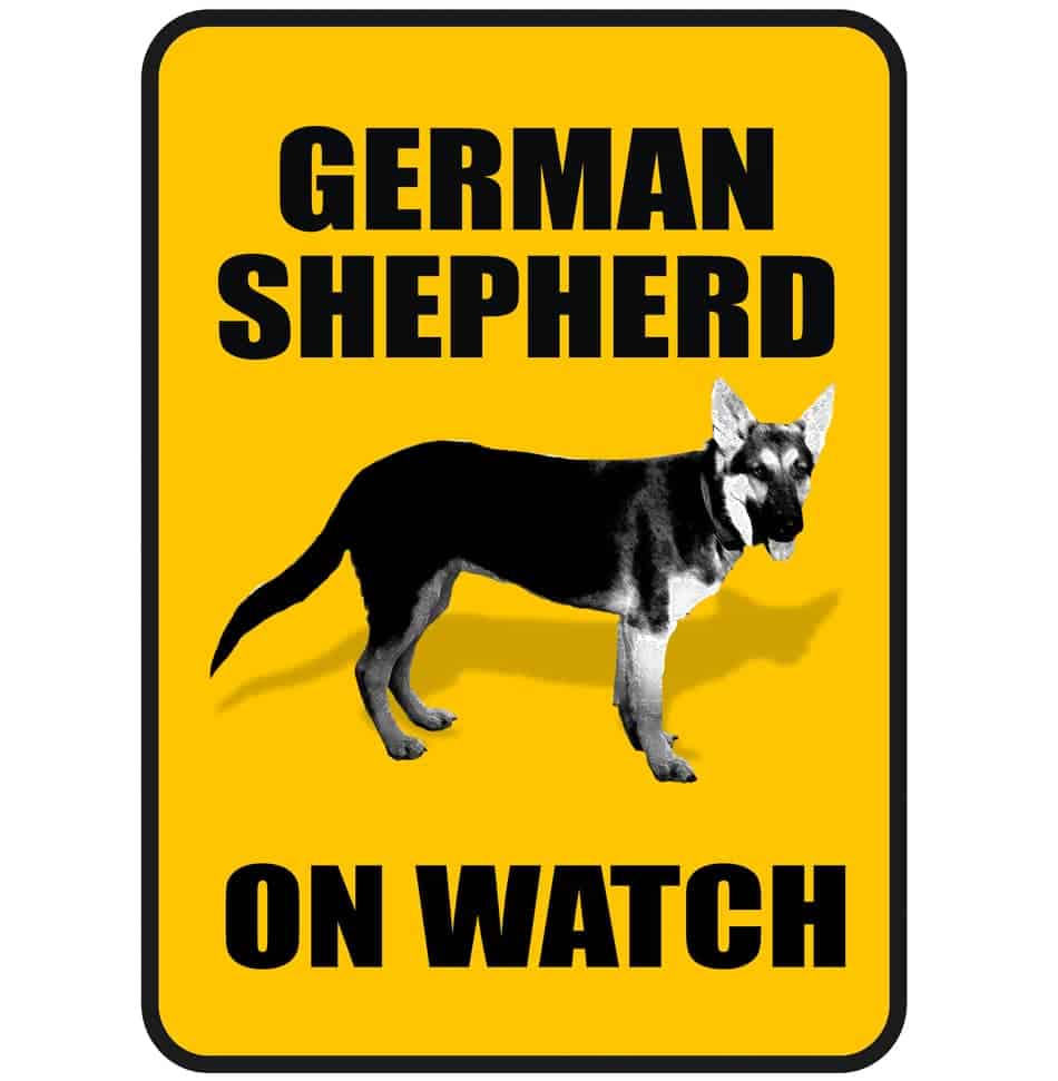 essay on german shepherd