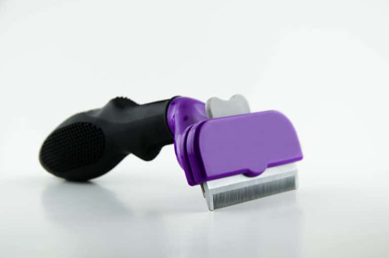 Grooming a German Shepherd All You Need to Know The German Shepherder