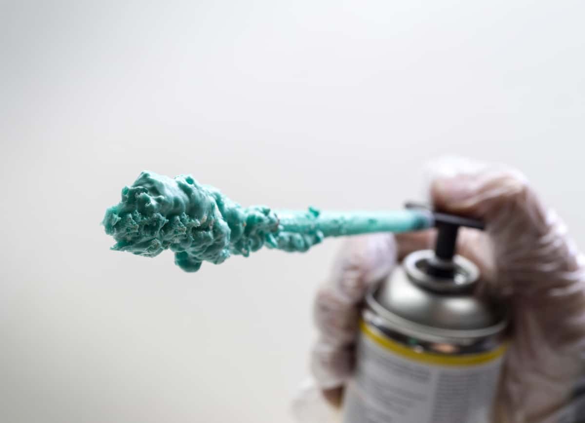 Keep Your GSD Away from These 20 Household Dangers The German Shepherder