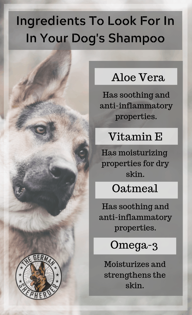 Grooming a German Shepherd All You Need to Know The German Shepherder