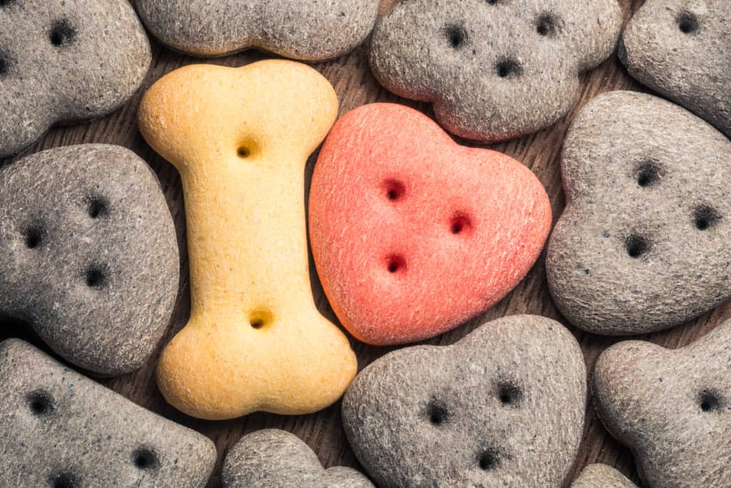 dog treats