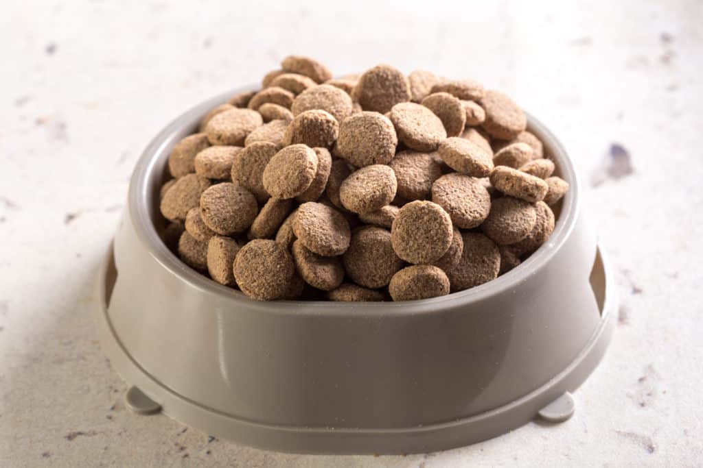 dog food in bowl