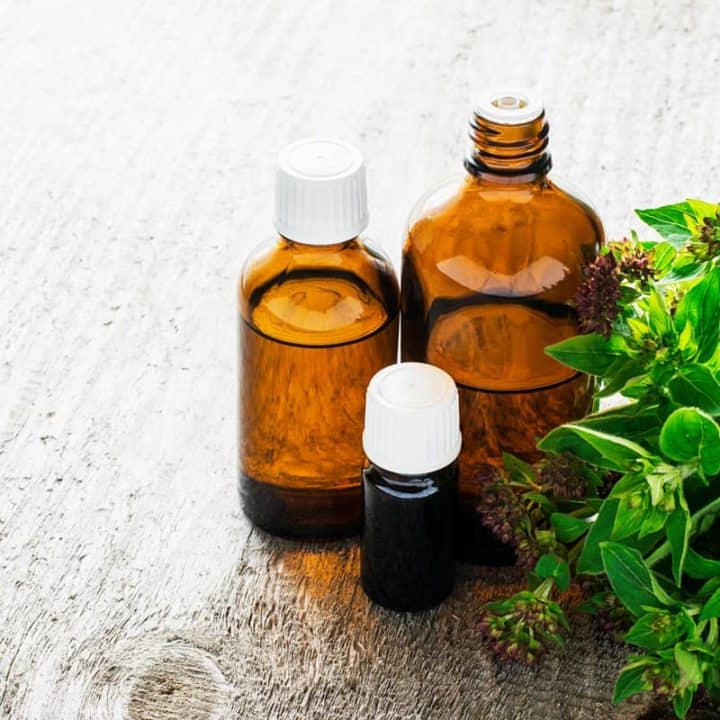 Is Aromatherapy Bad for Dogs? How to Safely Use It The German Shepherder