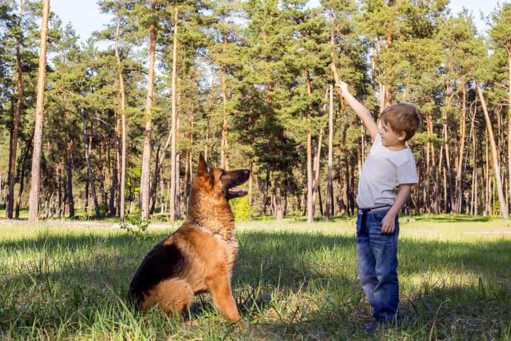GSD and boy