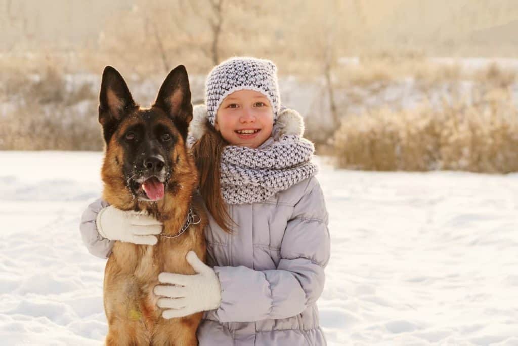 girl and gsd