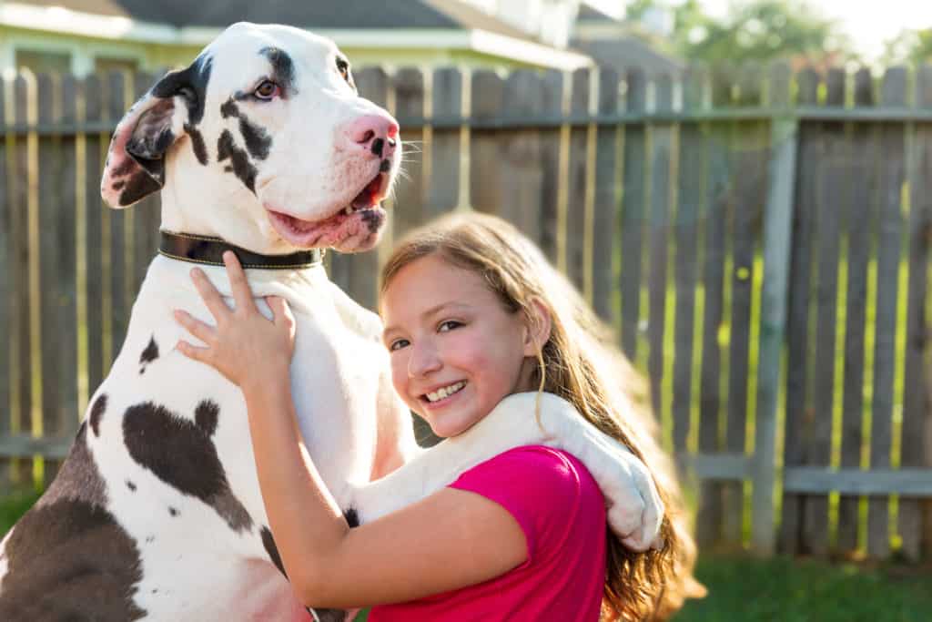 girl great dane