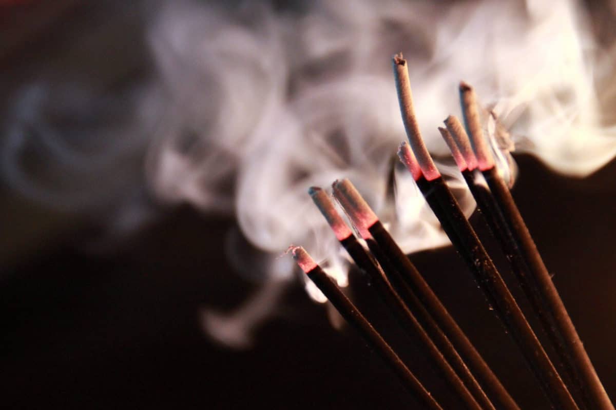 Is Burning Incense Bad for Dogs? The German Shepherder