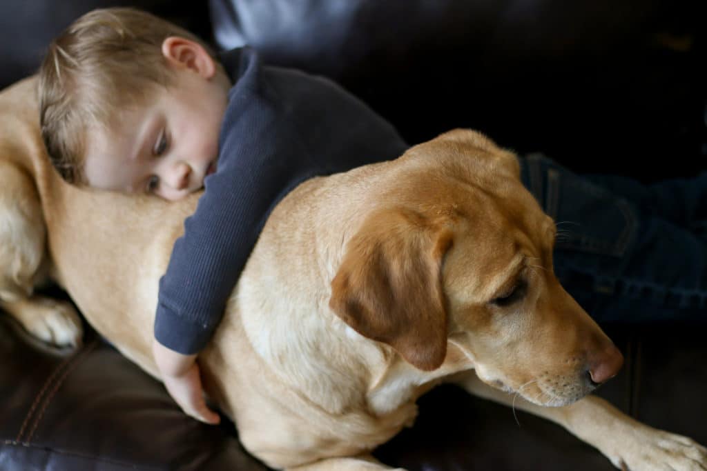 kid and lab