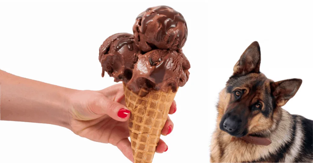 german shepherd and hand holding ice cream cone