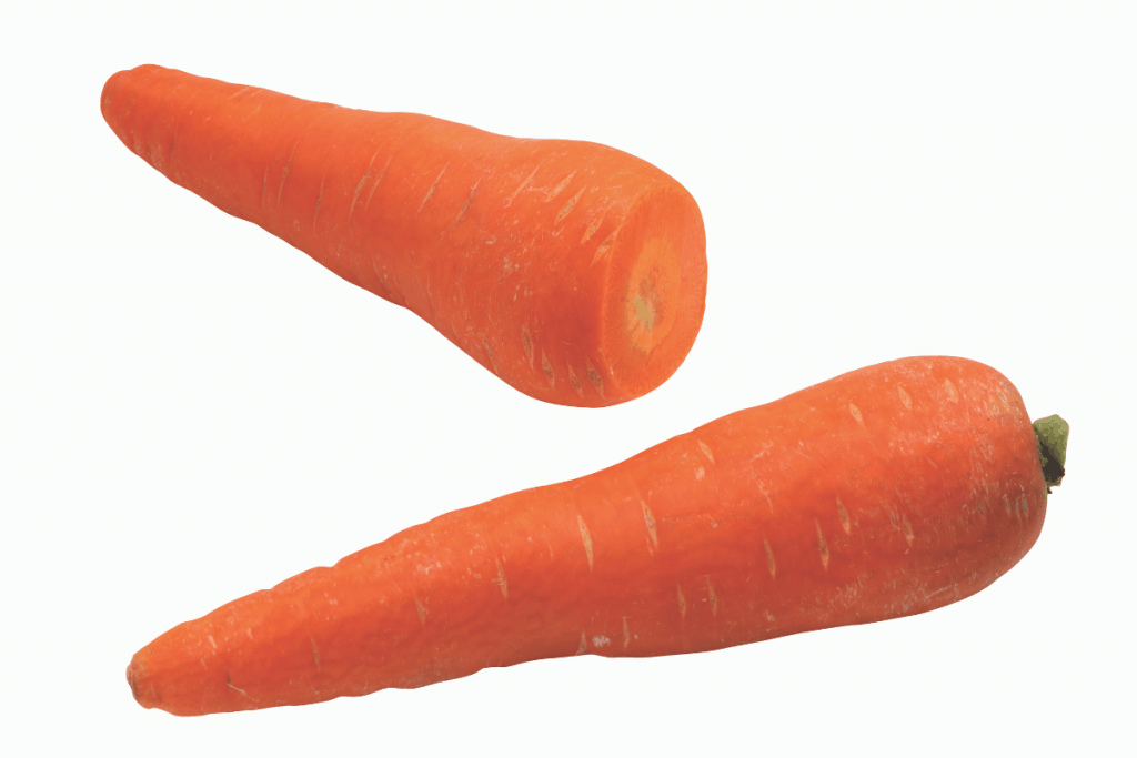 carrot