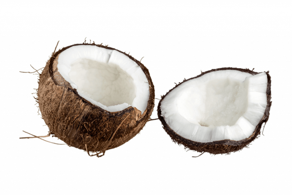 coconut