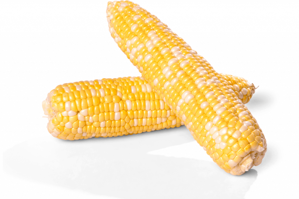 corn