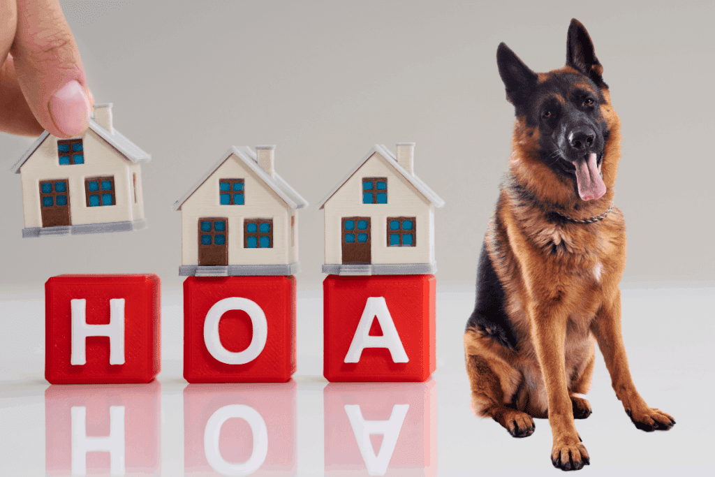 German Shepherd and homeowner's insurance concept