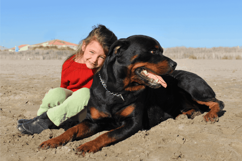 Rottweiler and child