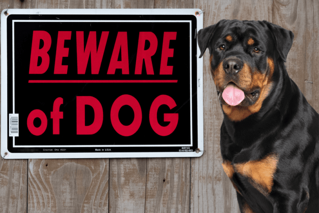 why do rottweilers have a bad reputation? 2