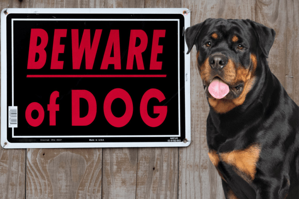 are rottweilers born aggressive