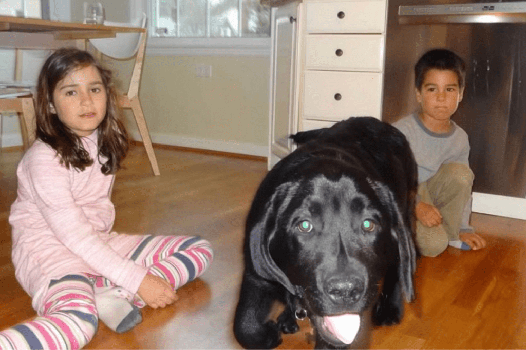 kids and a labrador