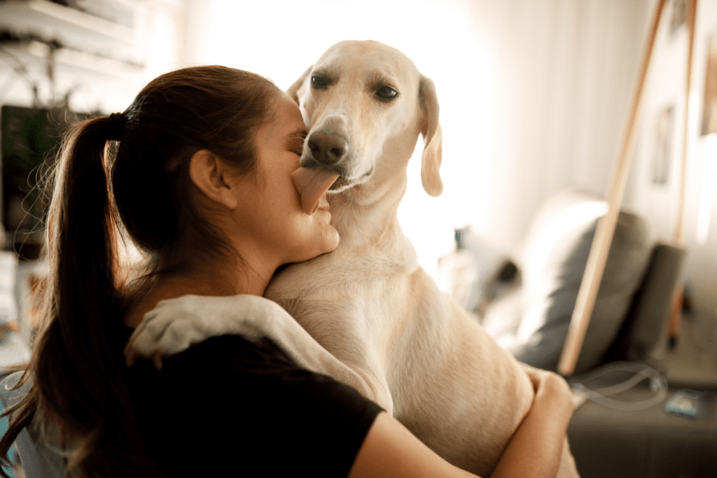 dog licking owner's face