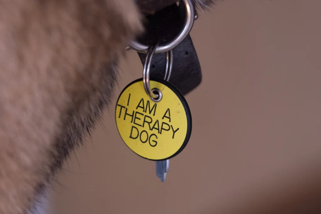 therapy dog tag