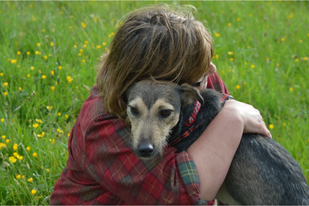 lonely dog being hugged