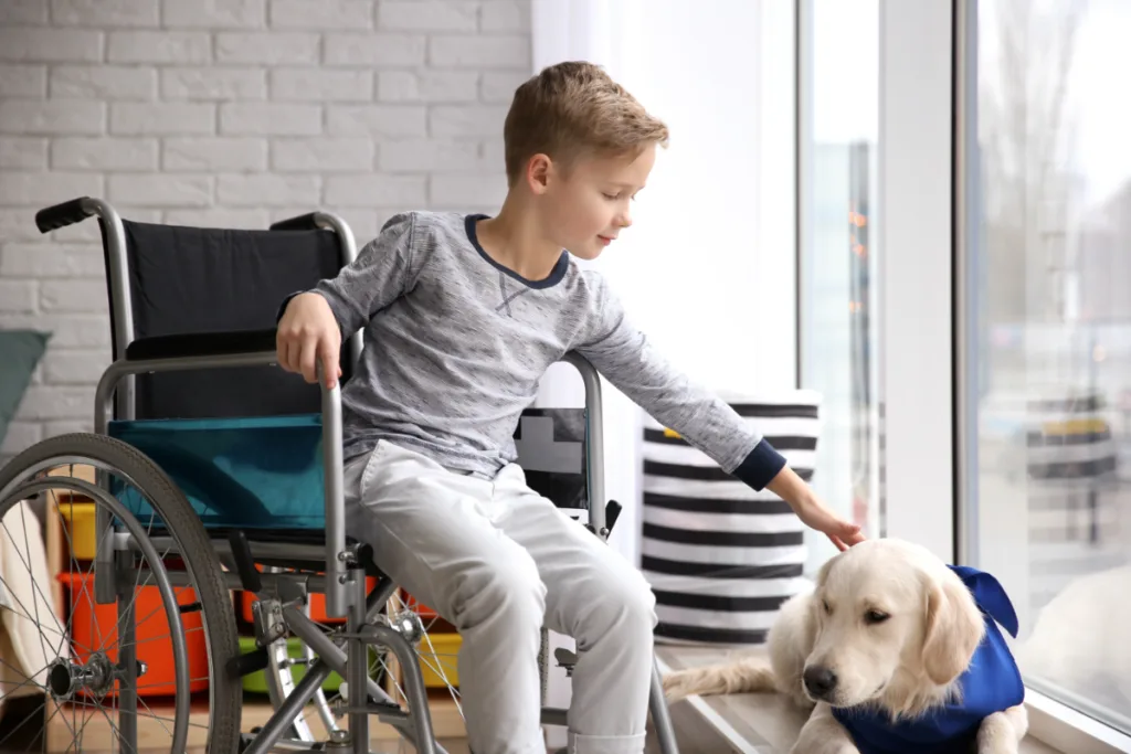 Labrador and kid in wheelchair